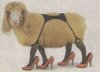 Algerian Girlfriend.jpg