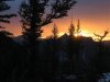 IMG_3902.jpg