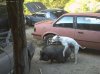 !cid_007901c7fc58$8092e2a0$b7910b47@administ6dhey2.jpg