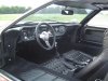 Interior.jpg