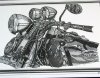 Web P1010129.jpg