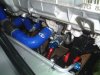DSCF0179.JPG