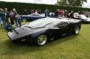 org2IMG_2426.jpg