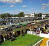 Goodwood1.jpg