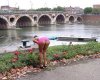 Pont neuf. (Small).jpg