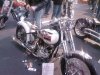 Custombike10.jpg