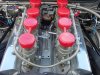 DSC00383.jpg
