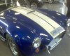 DSC00485.jpg