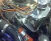 DSC00492.jpg