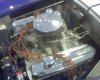 DSC00494.jpg