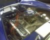 DSC00502.jpg