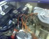 DSC00504.jpg
