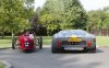 44483-Tyrechoicee.jpg