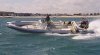 47233-cobrarib.JPG