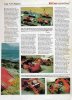 48335-Untitled-4.jpg
