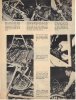 50200-sbgemiecobraarticlep3.jpg