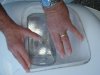 DSC00664.jpg