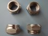 Camber Nuts 1.jpg