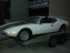 pantera arrival in OZ 002 (600 x 450).jpg