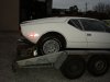 pantera arrival in OZ 007 (600 x 450).jpg