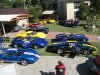 Club GT40 AGM 22-06-08 003.jpg