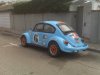Gulf Beetle 1.jpg
