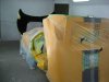 IMG_2934_op_800x600.jpg