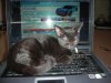 DSCN1221.jpg