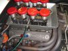 DSC01670.JPG