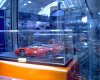 DSC00776.jpg