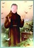 St. Fran.jpg