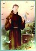 St-Francis-Fran7.JPG