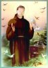 St-Francis-Fran7.jpg