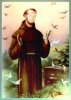 St. Fran - Money.jpg