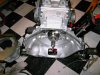 PICT1821.JPG