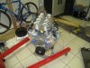 LS7 on scales.jpg