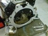 DSC00054.jpg