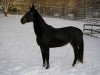 snow pics 010.jpg