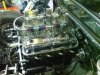 DSC00091.jpg