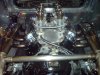 DSC00095.jpg