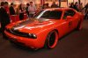 IMG_9787.jpg