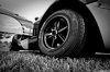 DSC_0070PS.jpg