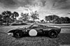 DSC_0115PSS.jpg