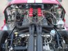 DSC00385.jpg
