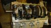DSC00833.jpg