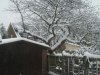 DSCF2093.jpg