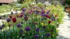 Casy's Flowers.jpg