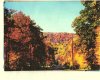Cheshire in fall.jpg