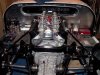 beast 001.jpg