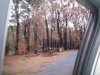 DSCF0028.JPG